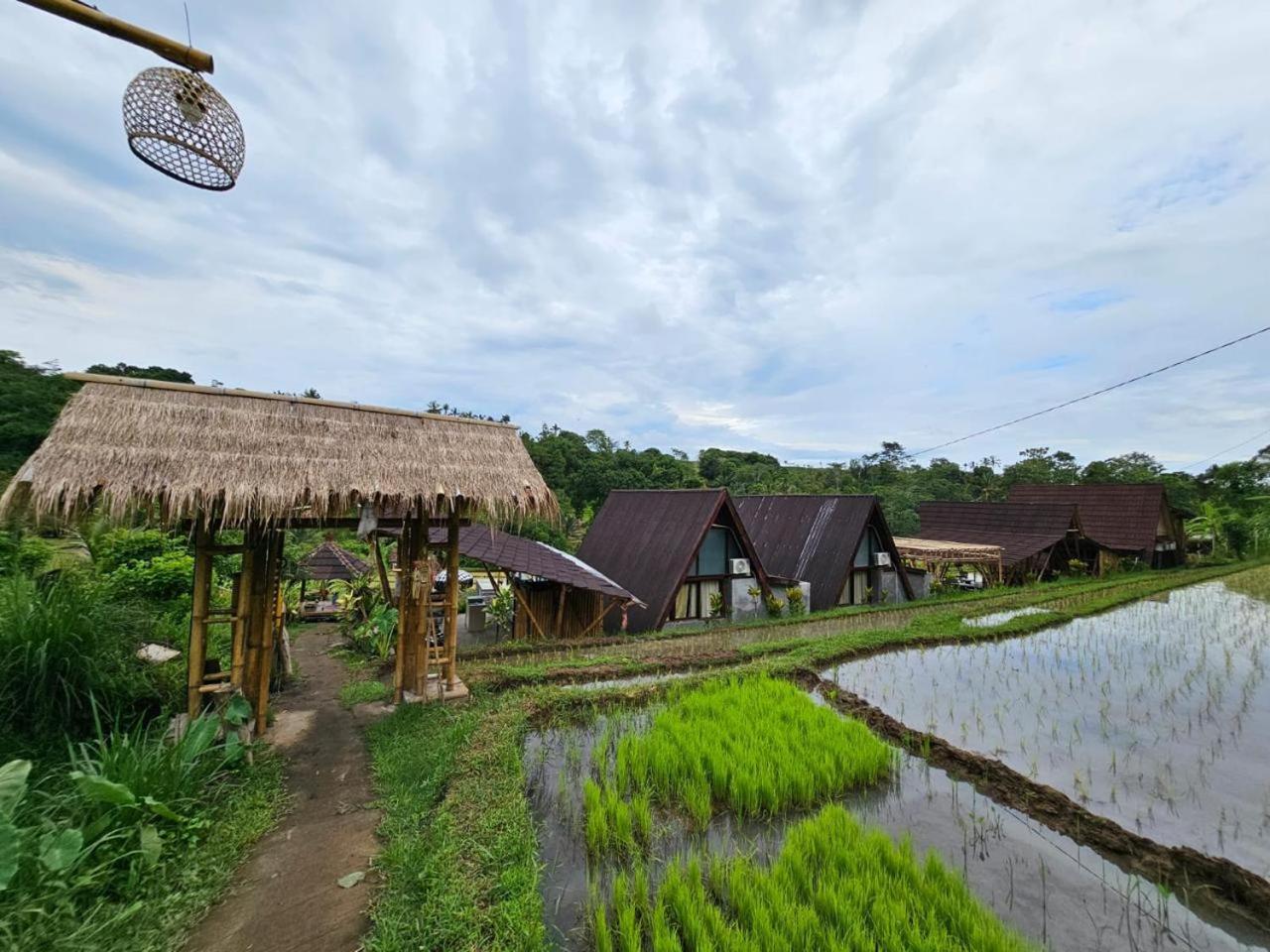 Villa Umauthu Bali Selemadeg Exterior foto