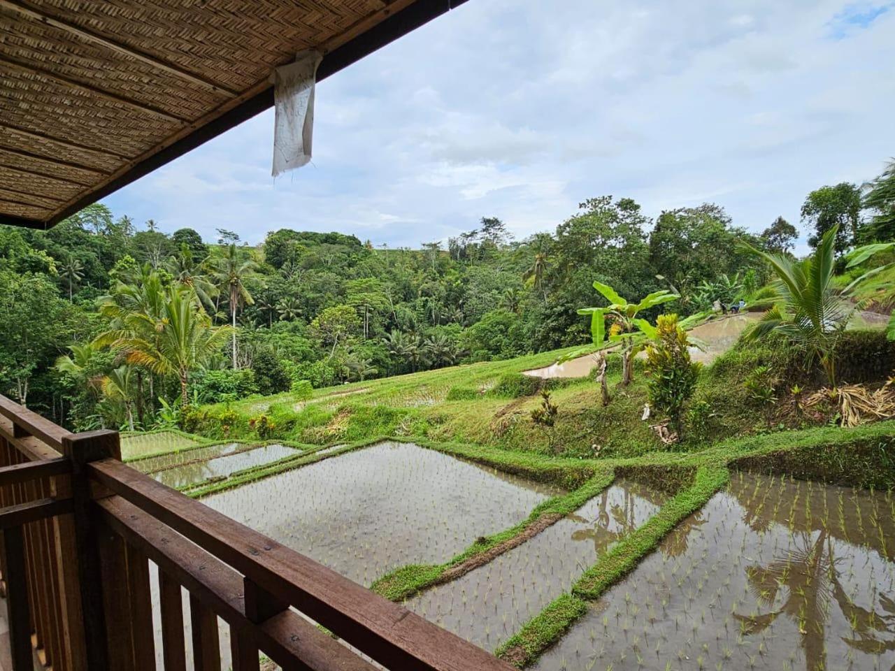 Villa Umauthu Bali Selemadeg Exterior foto